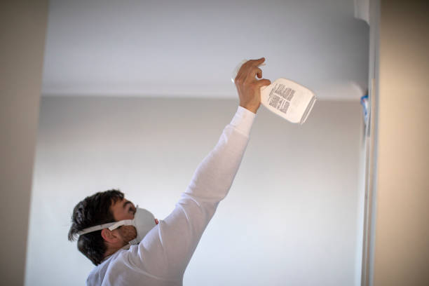 Best Emergency Mold Removal  in Lawai, HI