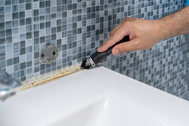 Best Black Mold Removal  in Lawai, HI