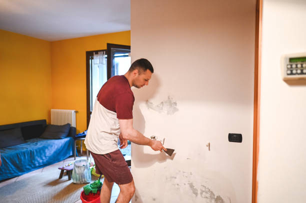 Best Mold Remediation  in Lawai, HI
