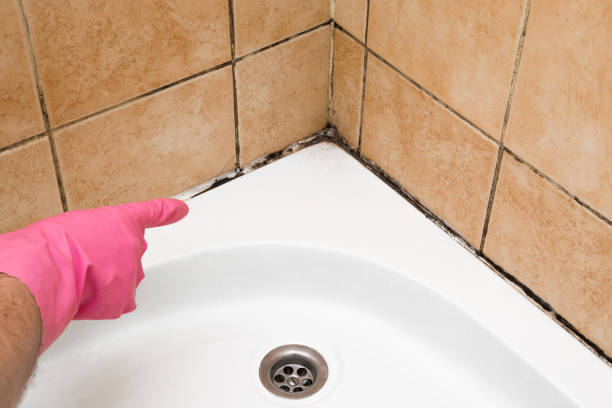 Best Crawl Space Mold Removal  in Lawai, HI